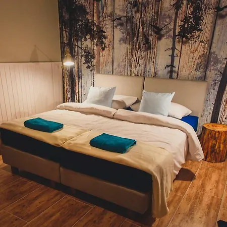 Leśna Oaza Willa Borek (Kartuzy)