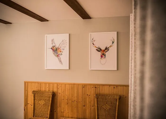 Lesna Oaza Вилла