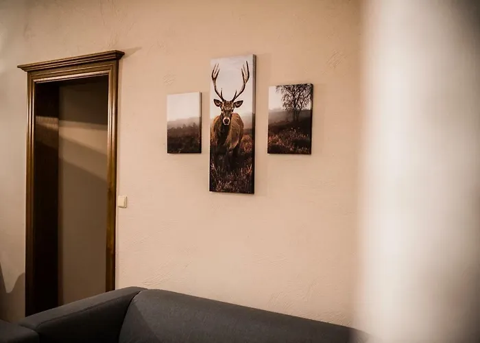 Lesna Oaza * Borek (Kartuzy)