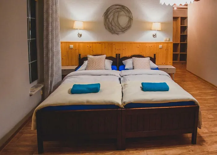 Lesna Oaza Borek (Kartuzy)