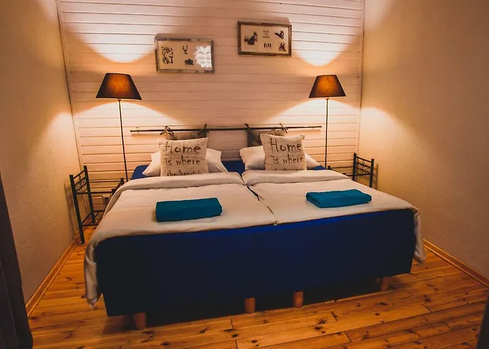 Lesna Oaza Borek (Kartuzy)